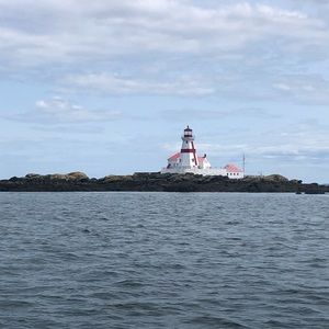 Meet your Posher, Noemi